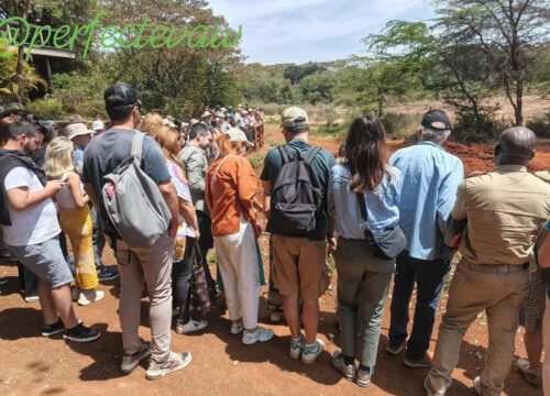 Day Trip To Giraffe Center, Elephant Orphanage And Bomas Of Kenya- Nairobi