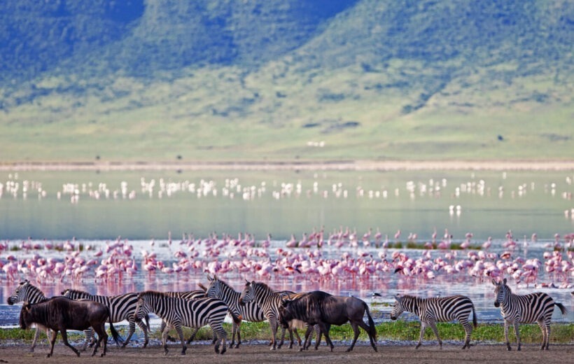 DAY TOUR TO NGORONGORO CRATER AND GAME DRIVE FROM ARUSHA