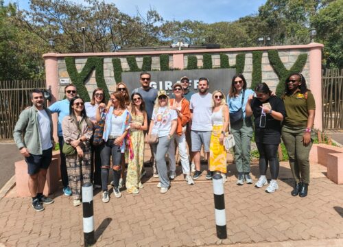 DAY TOUR TO DAVID SHELDRICK ELEPHANT ORPHANAGE TRUST AND GIRAFFE CENTER