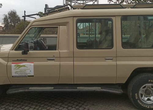 4 DAYS, 3 NIGHTS MASAI MARA AND LAKE NAKURU NATIONAL PARK GROUP JOINING SAFARI- 4 X 4 LAND CRUISER