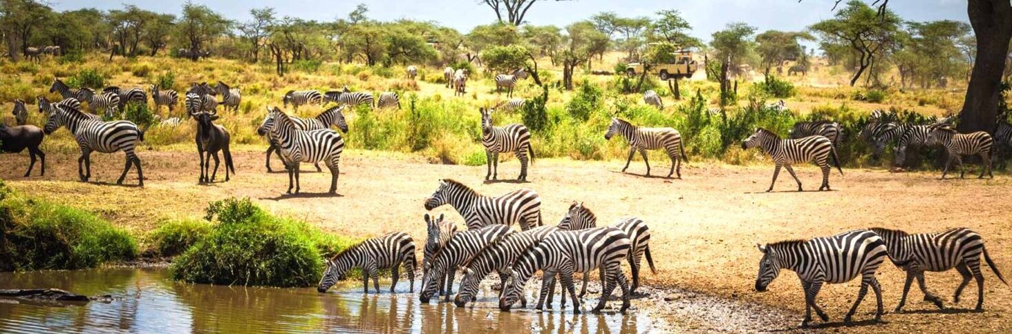 4 Days 3 Nights Tanzania Private Safari To Serengeti And Ngorongoro Using A 4 X 4 Land Cruiser Jeep