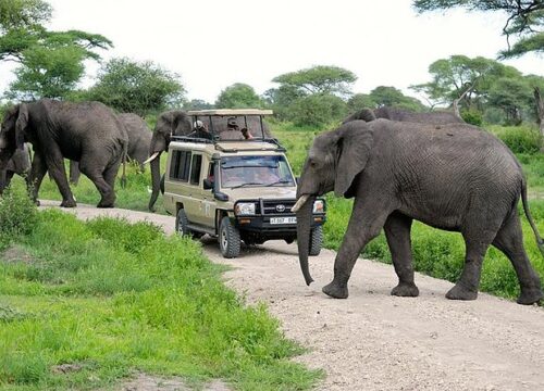 6 DAYS, 5 NIGHTS SMALL GROUP SAFARI WITH UPGRADED ACCOMMODATION TO MAASAI MARA, LAKE NAKURU AND AMBOSELI USING 4 X 4 LAND CRUISER