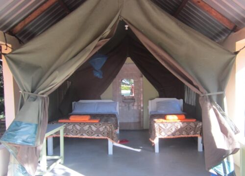 5 DAYS, 4 NIGHTS KENYA AND TANZANIA PRIVATE BUDGET CAMPING SAFARI PACKAGE