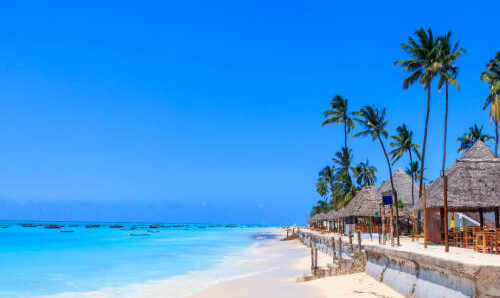 12 DAYS 11 NIGHTS KENYA BUSH AND ZANZIBAR BEACH PRIVATE SAFARI WITH Complimentary Airport pick up and First Night
