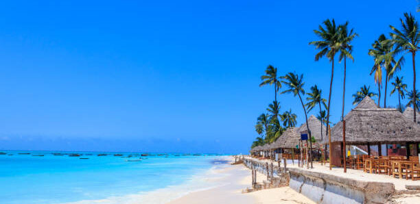 12 DAYS 11 NIGHTS KENYA BUSH AND ZANZIBAR BEACH PRIVATE SAFARI WITH Complimentary Airport pick up and First Night