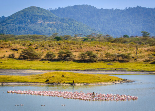 DAY TOUR TO ARUSHA NATIONAL PARK FROM ARUSHA.