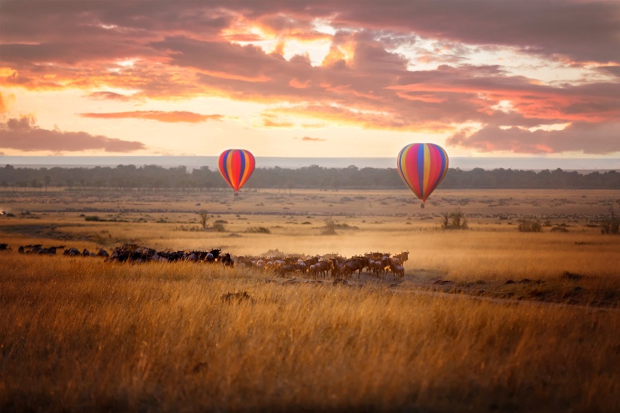 Tourists joining a luxury balloon safari in Nairobi. Tourists joining a luxury balloon safari in Nairobi.