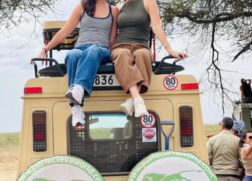 11 Days, 10 Nights Kenya And Tanzania Mid-Range Private Safari-Amboseli