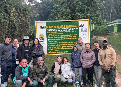 7 DAYS UGANDA PRIMATES SAFARI