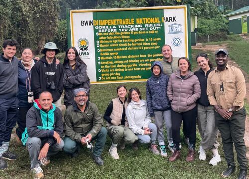 5 Days Ultimate Gorillas & Chimpanzees Encounter-2026