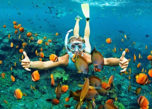 DOLPHINS AND SNORKELING TOURS IN WATAMU