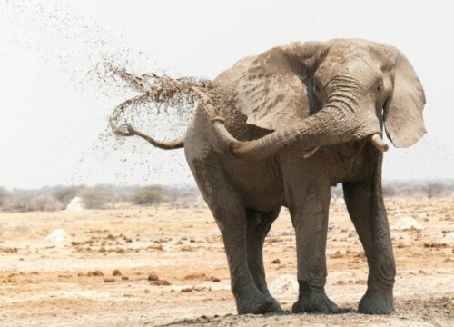 6 Day Namibia Highlights Tour